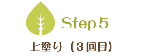 Step5　上塗り（3回目）